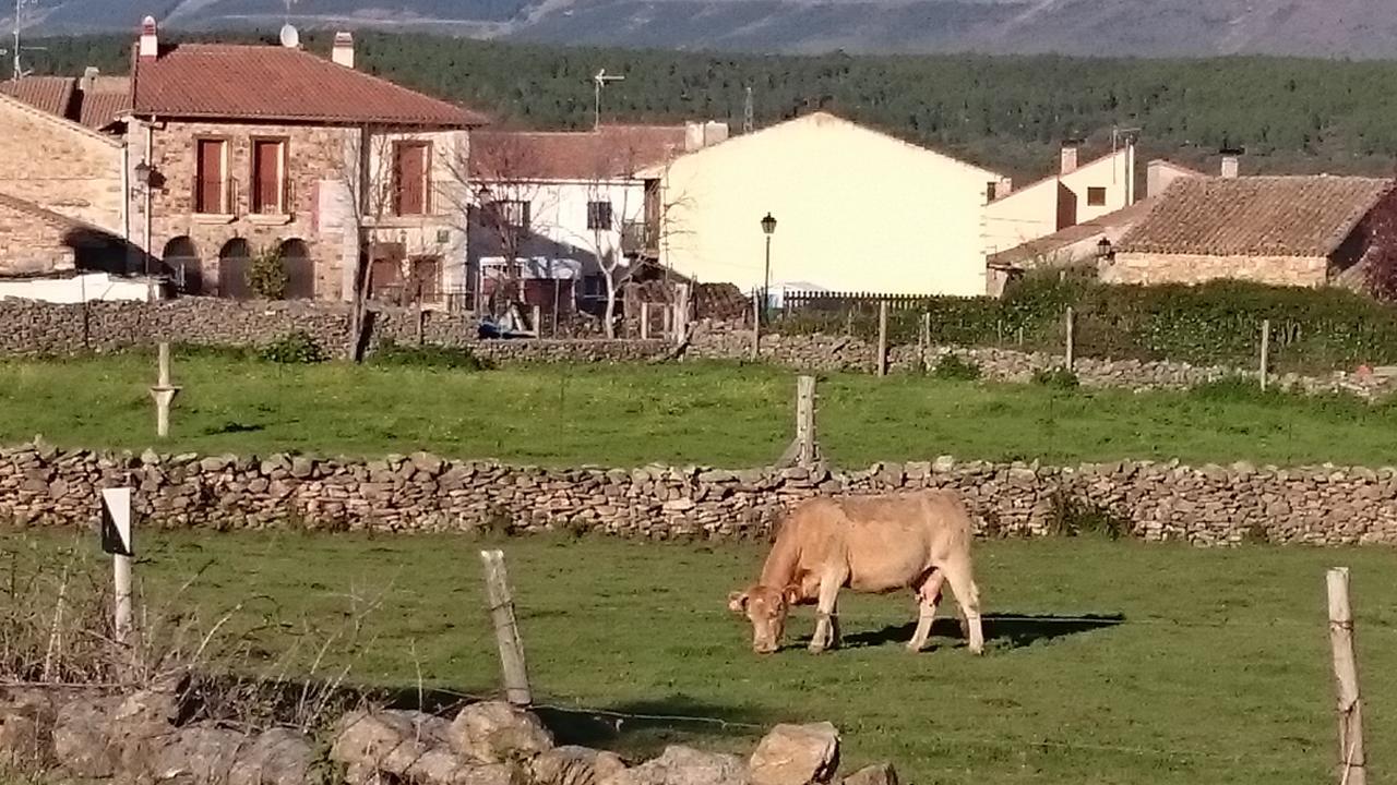 Posada La Fragua Gandullas Zewnętrze zdjęcie